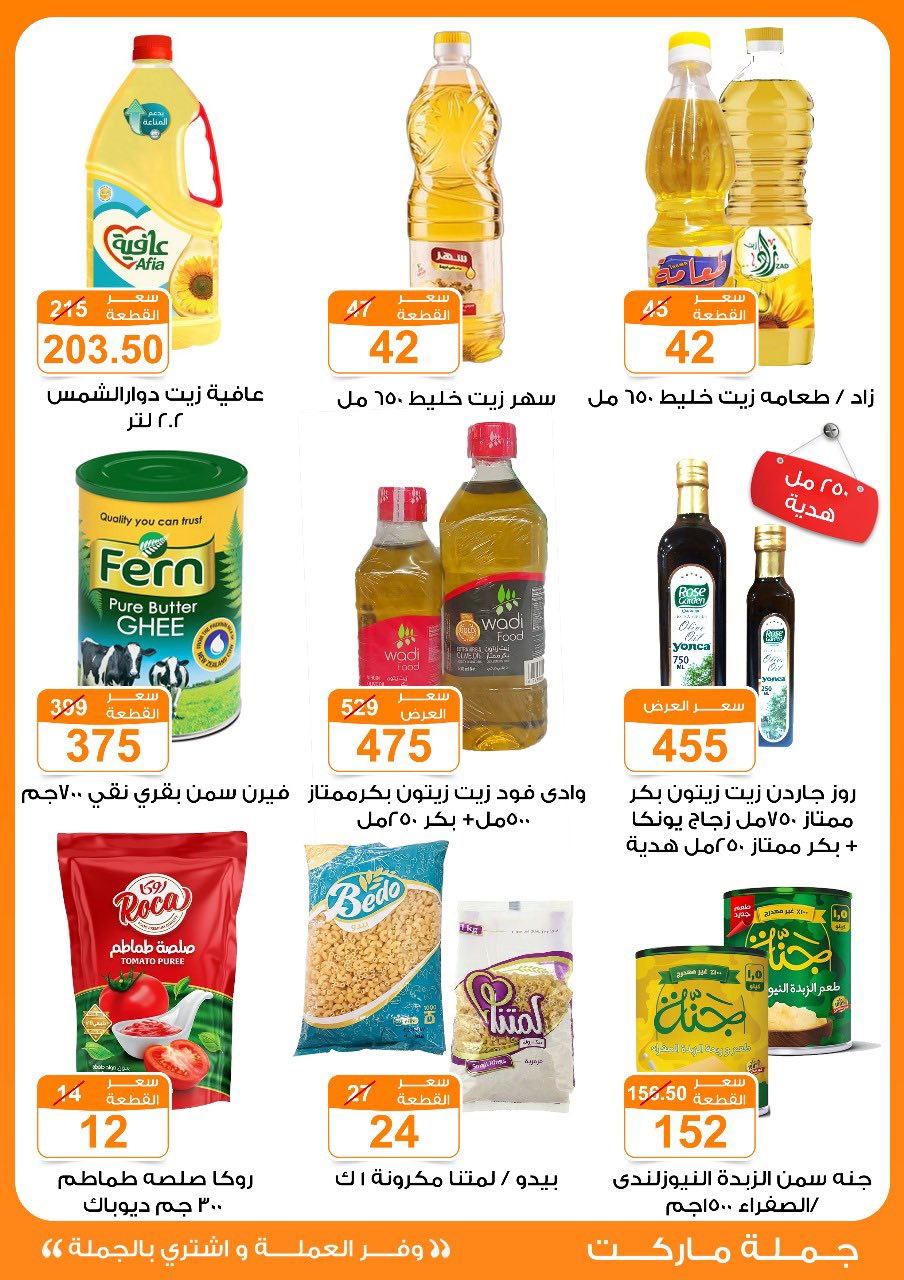 Gomla-market offers from 16jul to 5jun 2025 عروض جملة ماركت من 16 يوليو حتى 5 يونيو 2025 صفحة رقم 13